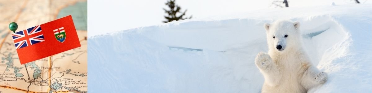 Discreet Cannabis Delivery in Alberta