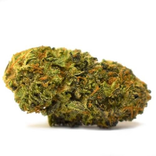 Buy BLUEBERRY SEAGAL Strain Online Canada