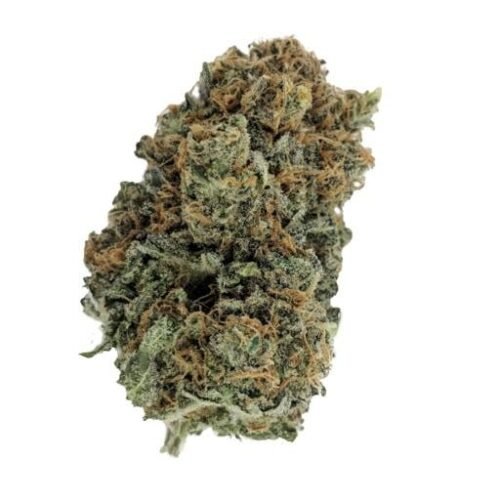 Buy LEMON ZKITTLEZ Online Canada