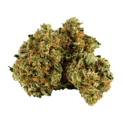 Buy SUMMER FLING (TANGIE) Online Canada