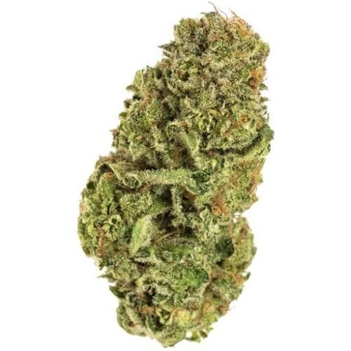 Buy BC ORGANIC BLUE DREAM Online Canada