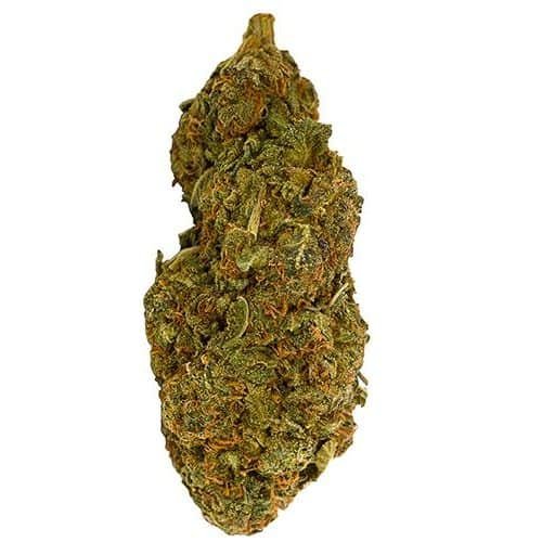 Order MK ULTRA Online Canada