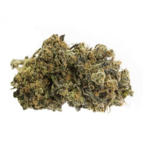 Buy UTOPIA (SHISHKABERRY) Online Canada
