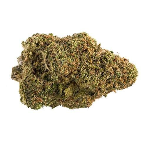 Buy WHITE WIDOW Strain Online Canada