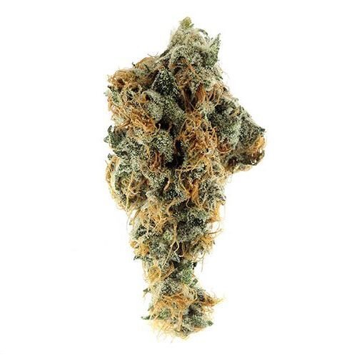 Order 8 BALL KUSH Online Canada