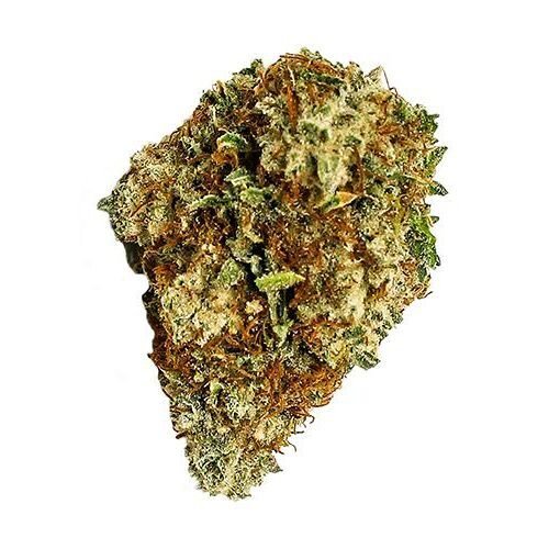 Buy SENSI STAR Strain Online Canada