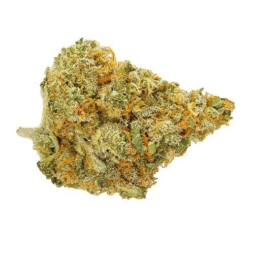 Buy CHOCOLOPE Strain Online Canada