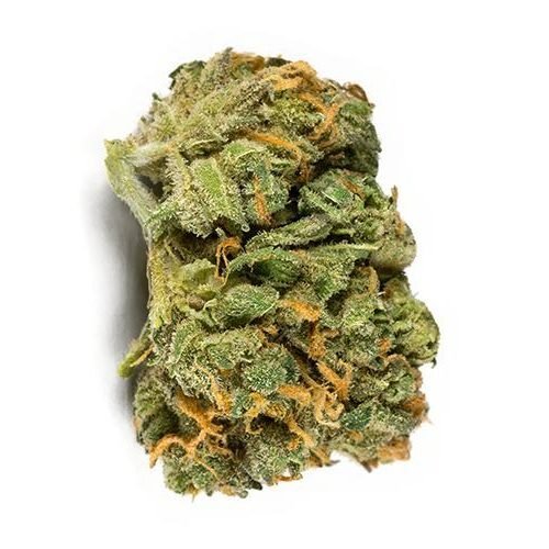 Order CABARET (ISLAND SWEET SKUNK) Online Canada