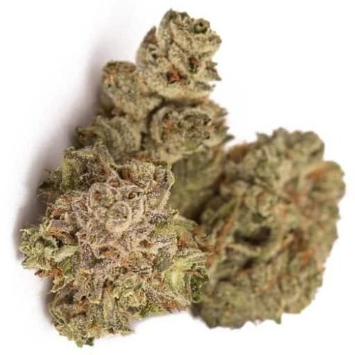 Order MANGO Online Canada