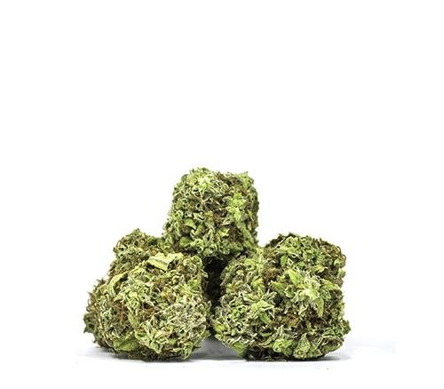 Buy DEALERS PICK SATIVA (BLENDED) Online Canada