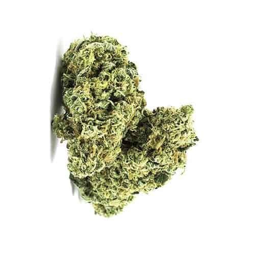 Buy GSC by Canna Farms Online Canada