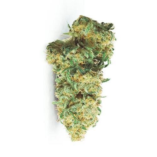 Buy High CBD SKUNK HAZE Online Canada