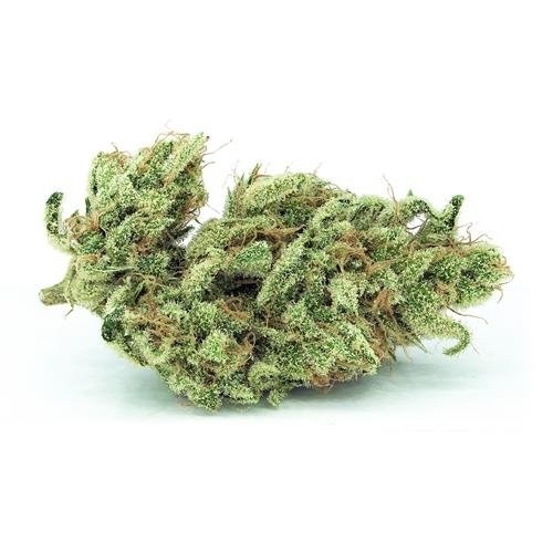 Buy BLUE DREAM Online Canada