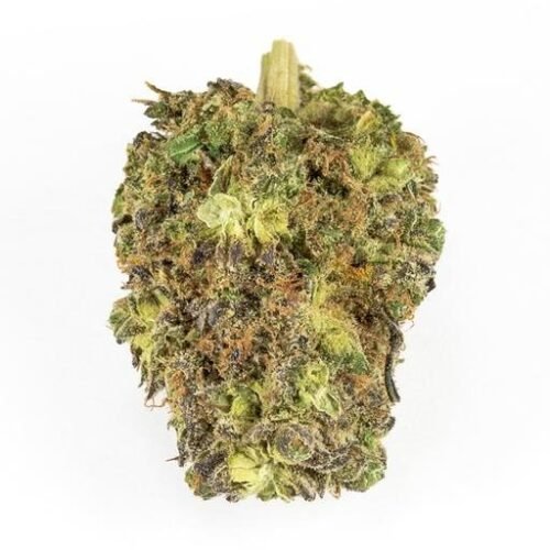 Buy NO. 402 BLUEBERRY KUSH (SHISHKABERRY) Online Canada