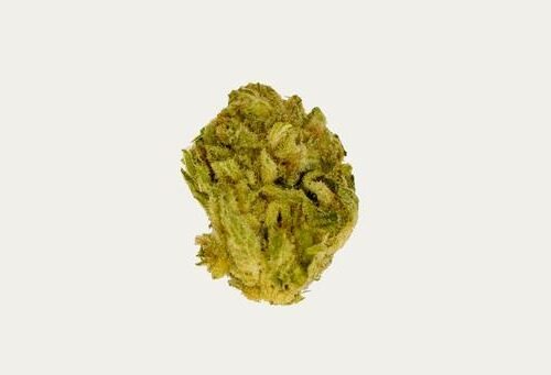 Buy WAPPA Strain Online Canada