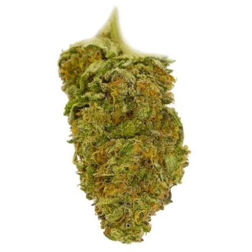 Order SHISHKABERRY Online Canada