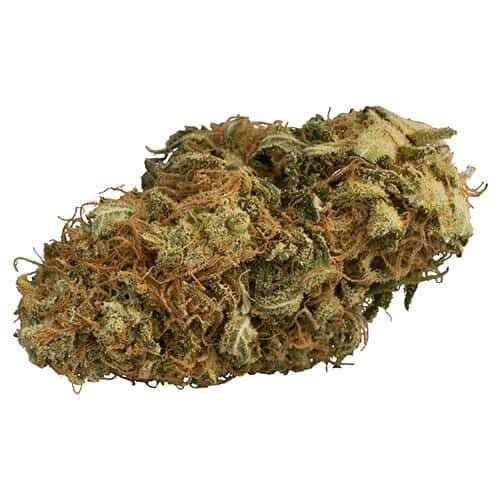 Buy WEST COAST DREAM Online Canada