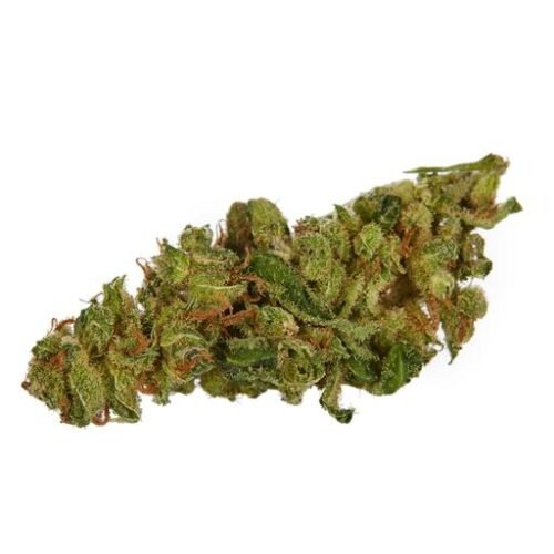 Buy SUPER LEMON HAZE Online Canada