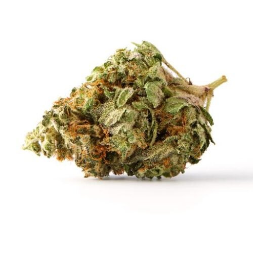 Buy CITRUS PUNCH (AGENT ORANGE) Online Canada