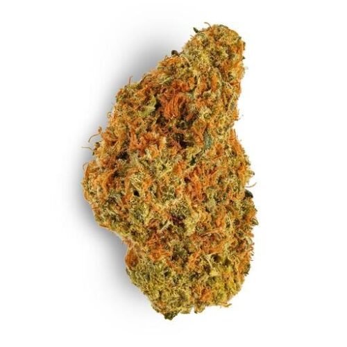 Order CHOCOLOPE Strain Online Canada