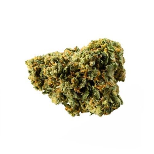 Buy Blend HALF-QUARTER Online Canada