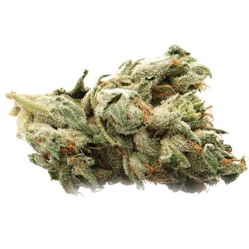 Buy D. BUBBA Online Canada