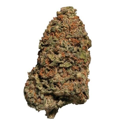 Buy TSUNAMI (NORTHERN LIGHTS) Online Canada