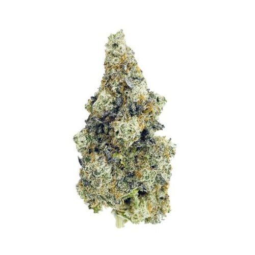 Buy CHERRY PUNCH Strain Online Canada