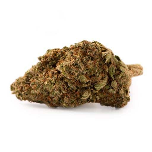 Buy CALM BERRY BLISS (VOODOO CHILD) Online Canada