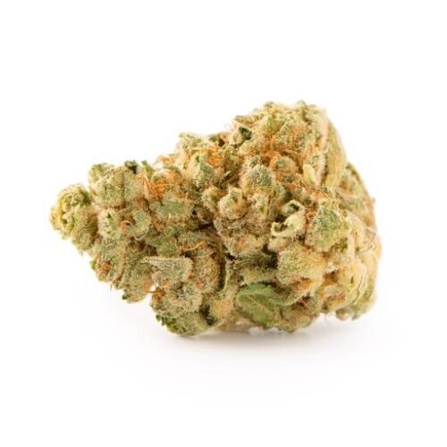Buy CALM TWILIGHT (JAGER OG) Online Canada