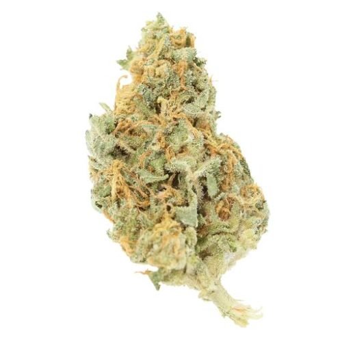 Buy ORANGE BUD Online Canada