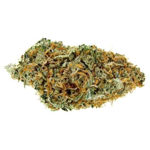 Buy SOUR JACK Strain Online Canada