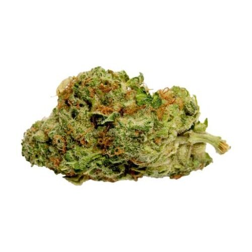 Buy DEALERS PICK HYBRID (VARIOUS) Online Canada