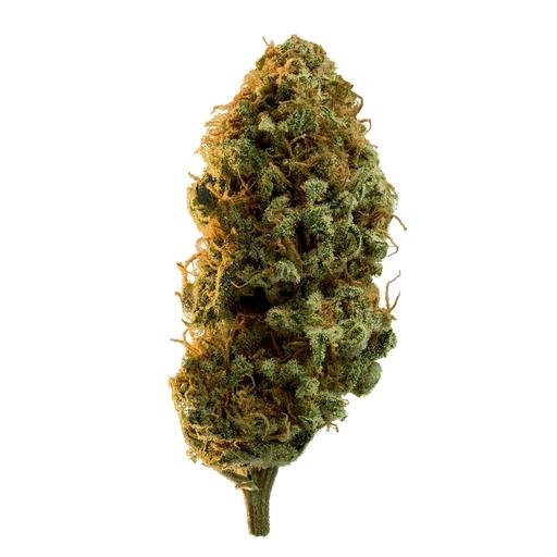 Buy EL DORADO DF (KANATA) Online Canada