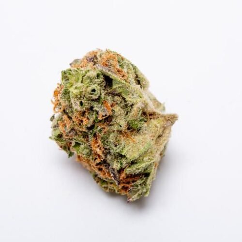 Buy DEALERS PICK SATIVA (BLENDED) Online Canada