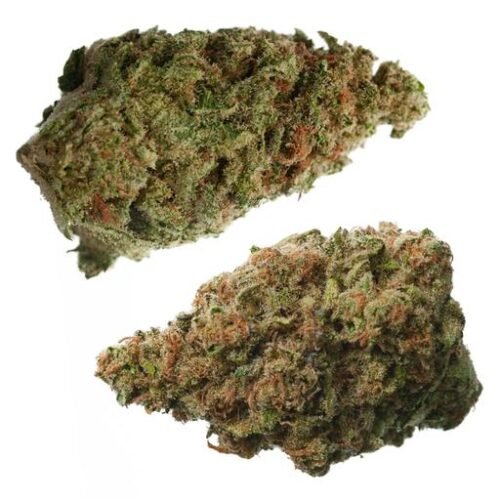 Buy OS. RESERVE INDICA BLEND Online Canada