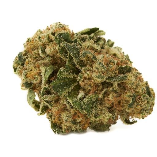Buy MARLEY GREEN (BLUE DREAM) Online Canada