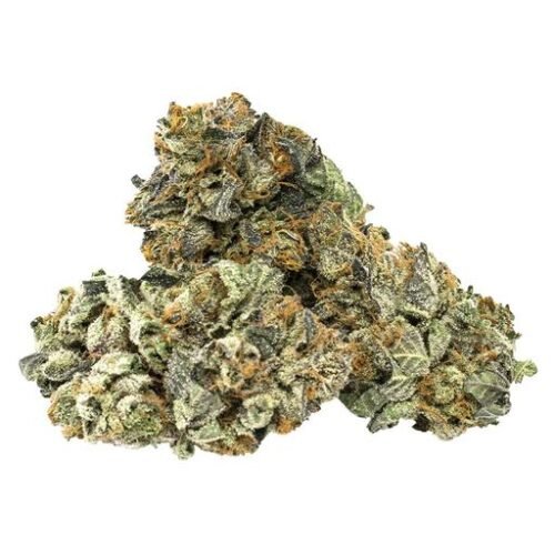 Buy BC PURPLE HAZE (PURPLE HAZE ) Online Canada