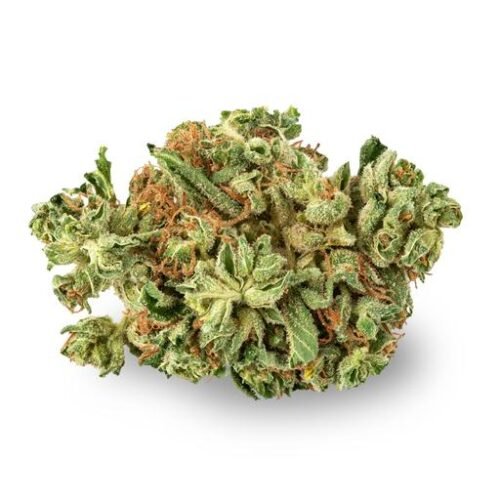Buy DAYSHIFT (91 KRYPT OG) by Kingsway Online Canada