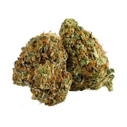 Buy NIGHTSHIFT (AFGHAN OG) by Kingsway Online Canada