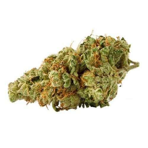 Buy OREGON GOLDEN GOAT by Top Leaf Online Canada
