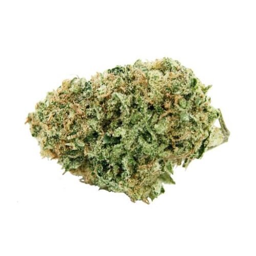 Buy BLACK WIDOW by Emerald Health Online Canada