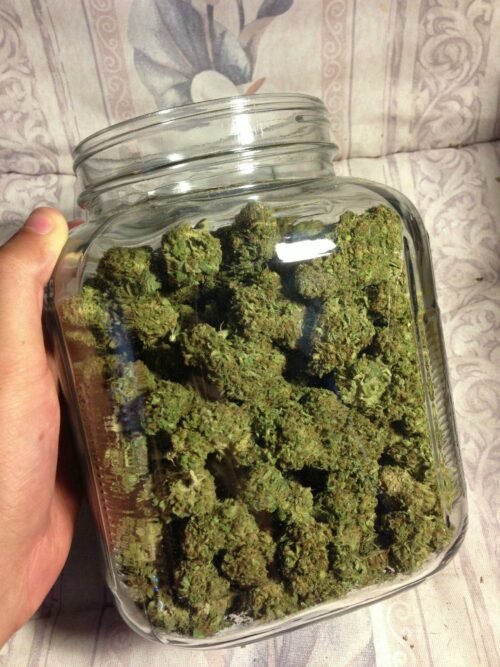 Buy Sour OG Online Canada - Image 49