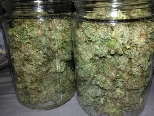 Buy Sour OG Online Canada - Image 44