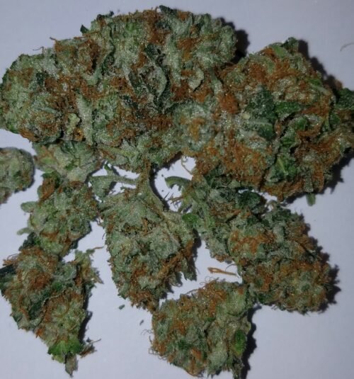 Order Agent Orange (AA) Online Canada - Image 136