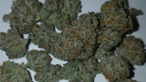 Buy Sour OG Online Canada - Image 42