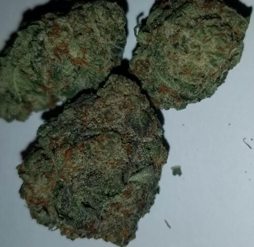 Order Agent Orange (AA) Online Canada - Image 138