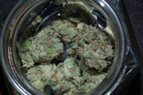 Buy Sour OG Online Canada - Image 38