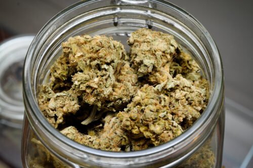 Order Agent Orange (AA) Online Canada - Image 129