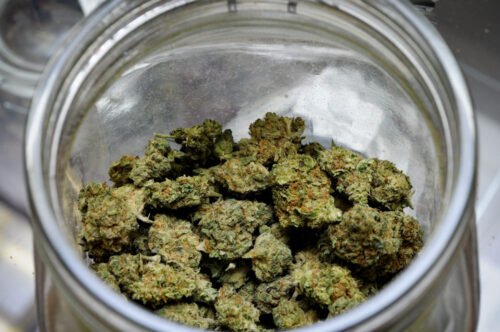 Order Agent Orange (AA) Online Canada - Image 128